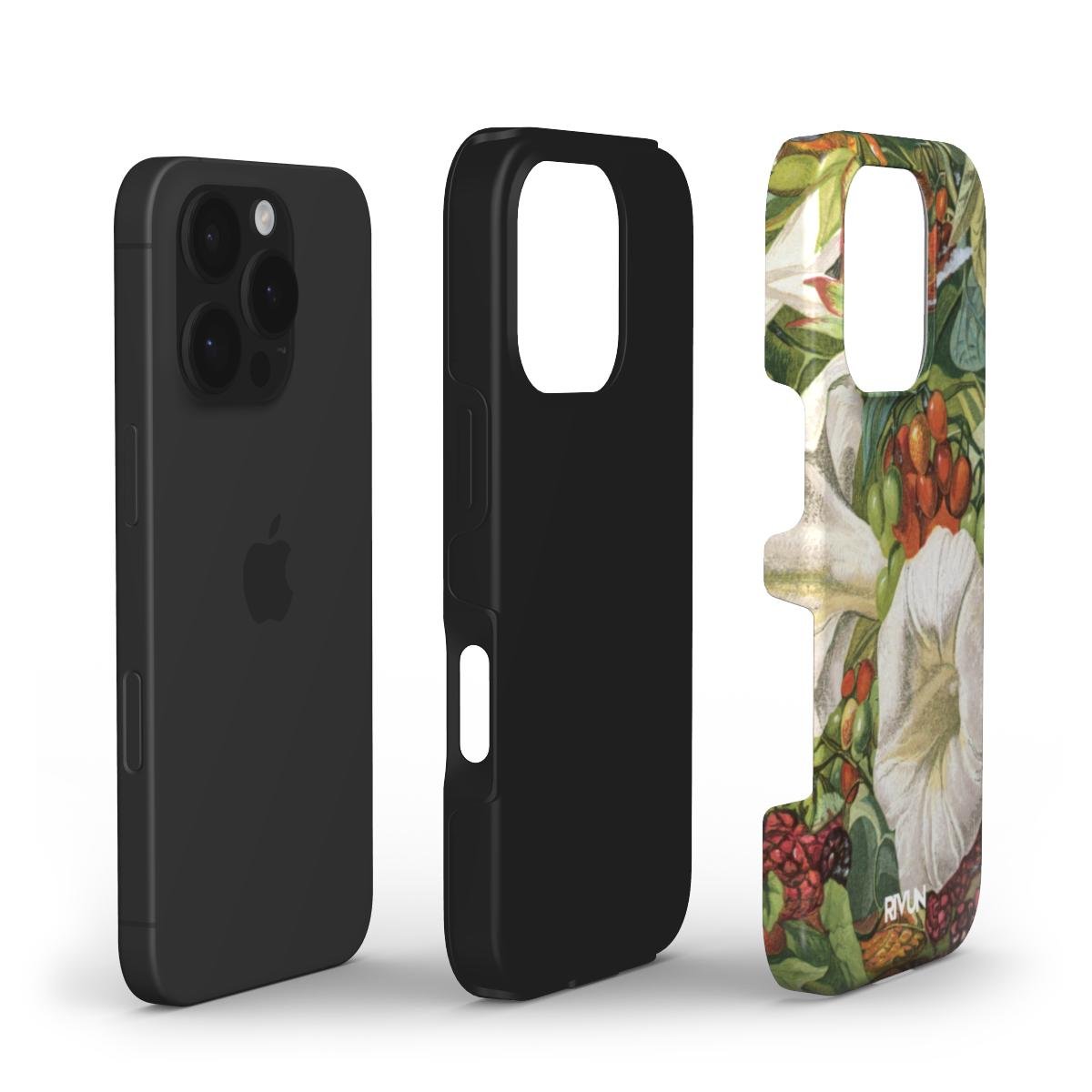 Autumn Berries | Saugus - Rivun