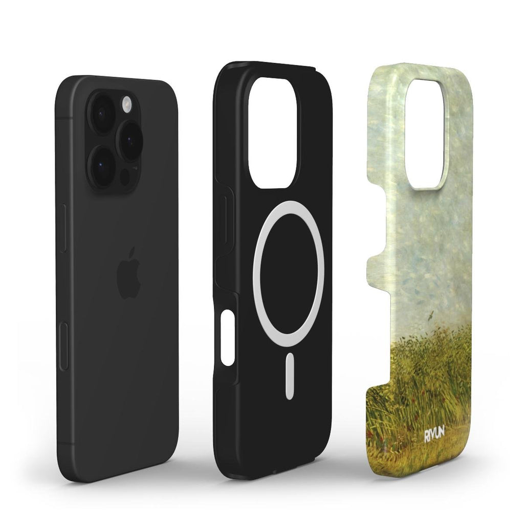 Cornfield | Saugus+ - Rivun