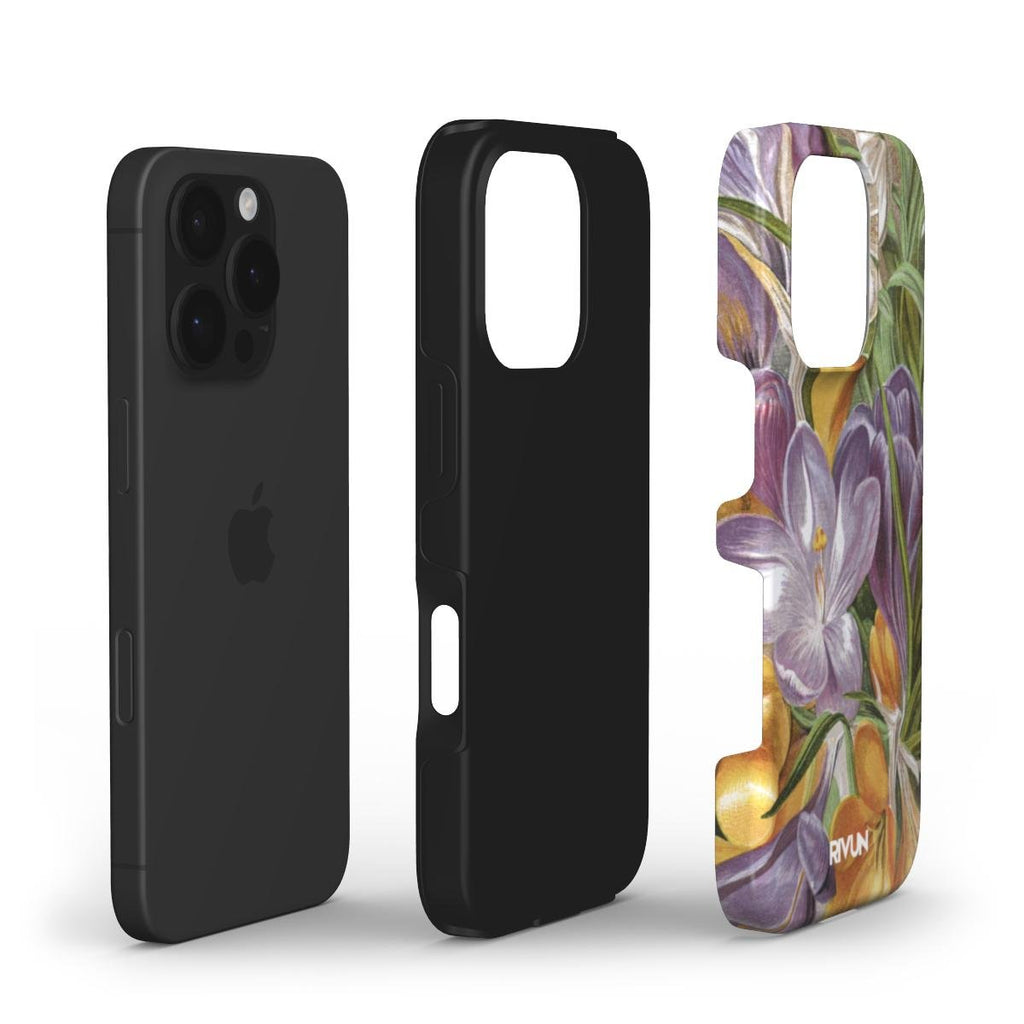 Crocuses | Saugus - Rivun