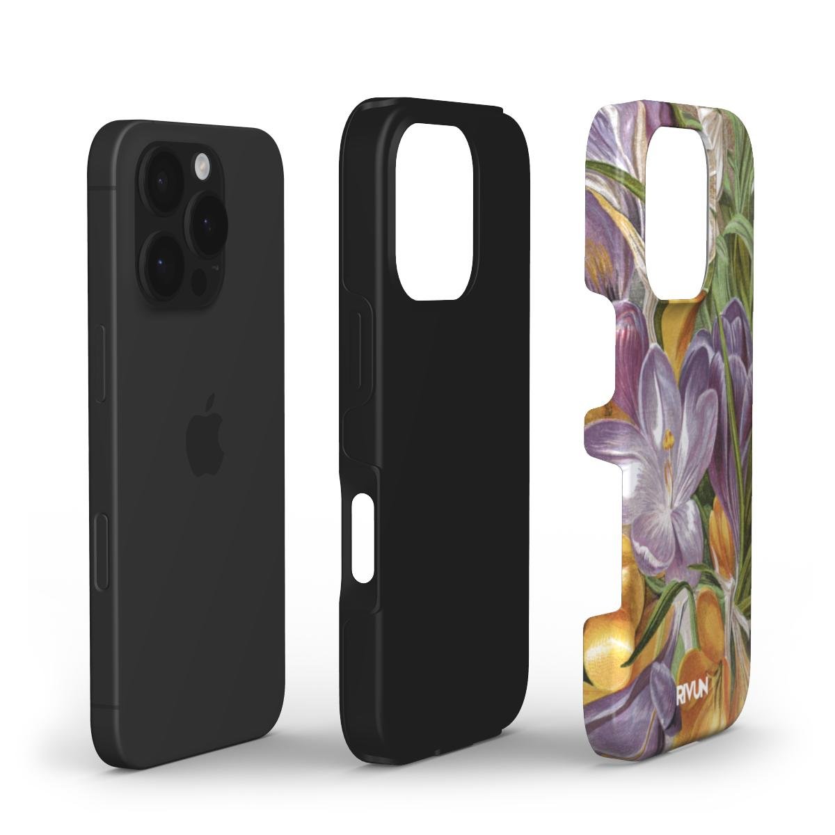 Crocuses | Saugus - Rivun